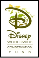 Disney-Worldwide-Fund